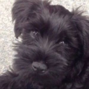 Meet your Posher, Julia